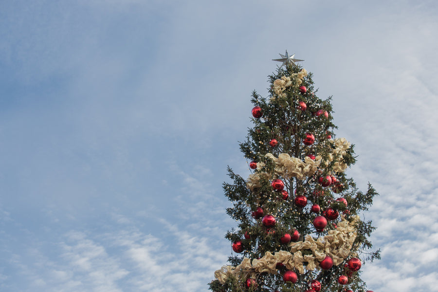 Christmas Camping: How To