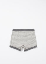 Load image into Gallery viewer, Grand Trunk
